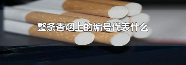 整条香烟上的编号代表什么