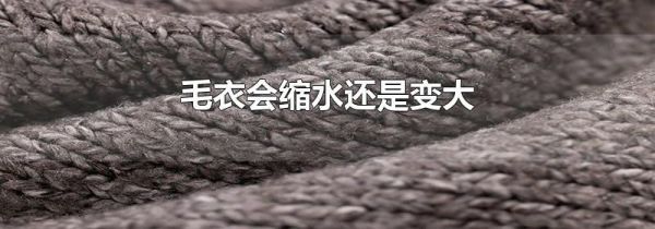 毛衣会缩水还是变大