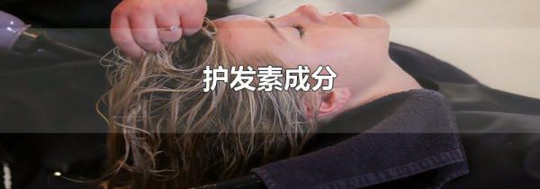护发素成分