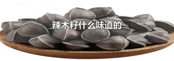 辣木籽什么味道的