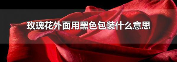 玫瑰花外面用黑色包装什么意思
