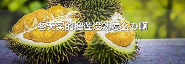 冬天买的榴莲没熟怎么办啊