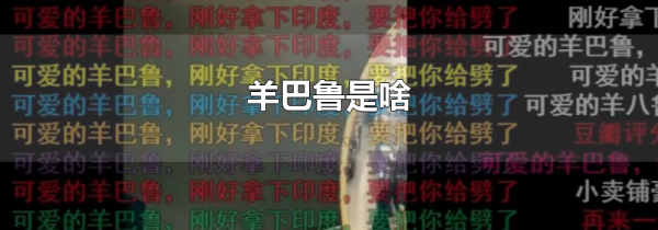 羊巴鲁是啥