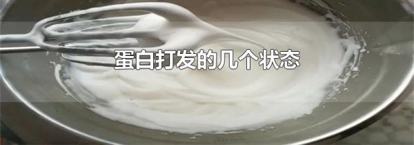 蛋白打发的几个状态