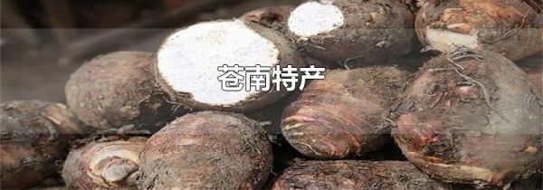 苍南特产