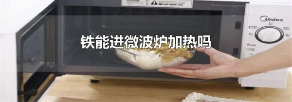 铁能进微波炉加热吗