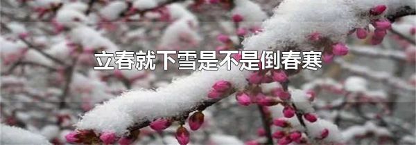 立春就下雪是不是倒春寒