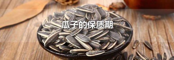 瓜子的保质期