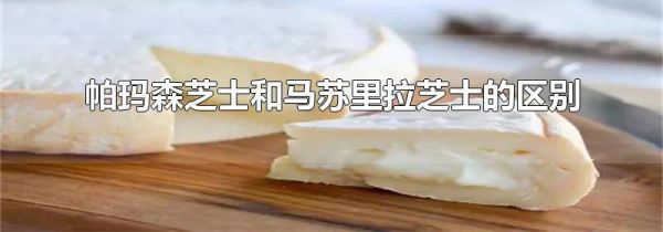 帕玛森芝士和马苏里拉芝士的区别