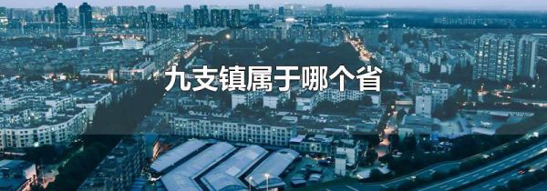 九支镇属于哪个省