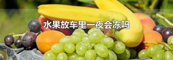 水果放车里一夜会冻吗