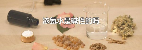 浓氨水是碱性的吗