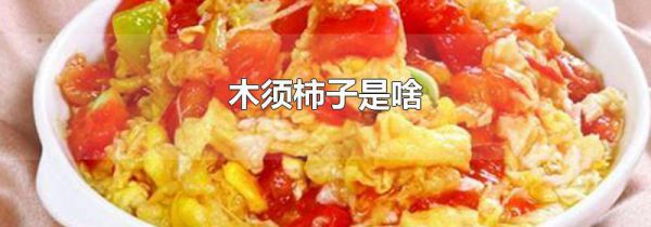 木须柿子是啥