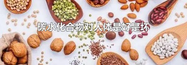 碳水化合物对人体是好是坏