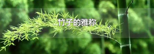 竹子的雅称