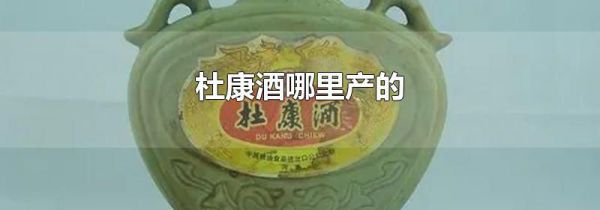 杜康酒哪里产的