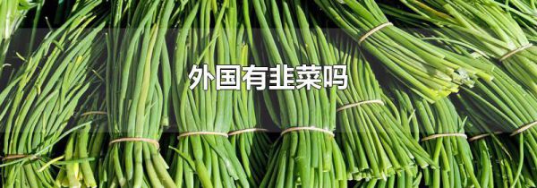 外国有韭菜吗