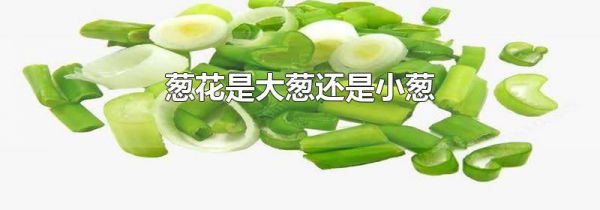 葱花是大葱还是小葱