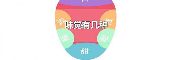 味觉有几种