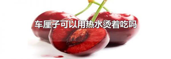 车厘子可以用热水烫着吃吗