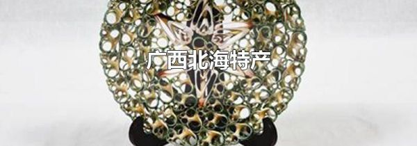 广西北海特产