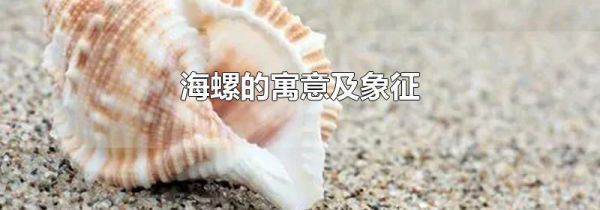 海螺的寓意及象征