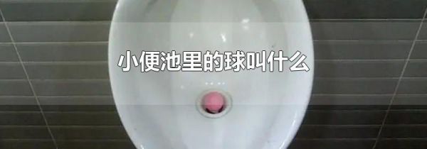 小便池里的球叫什么