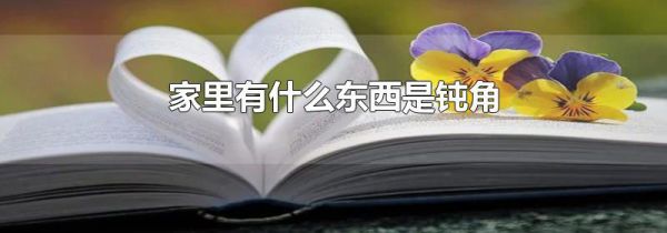 家里有什么东西是钝角