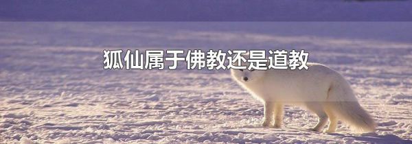 狐仙属于佛教还是道教