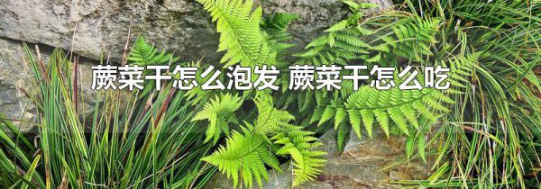 蕨菜干怎么泡发 蕨菜干怎么吃