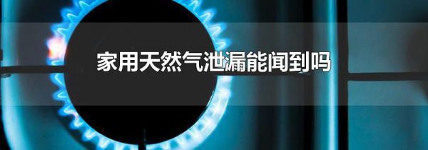 家用天然气泄漏能闻到吗