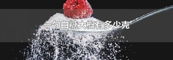 一勺白糖大概有多少克