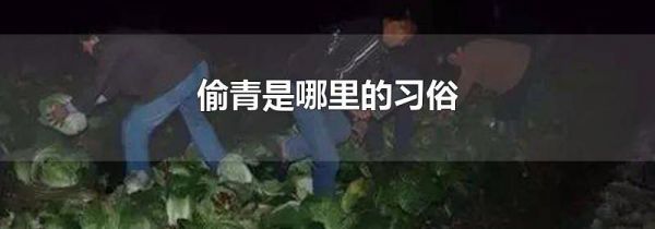 偷青是哪里的习俗