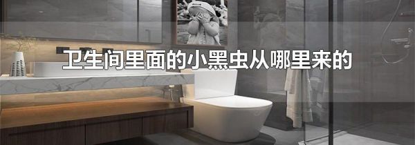 卫生间里面的小黑虫从哪里来的