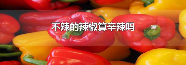 不辣的辣椒算辛辣吗