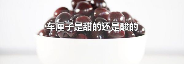 车厘子是甜的还是酸的