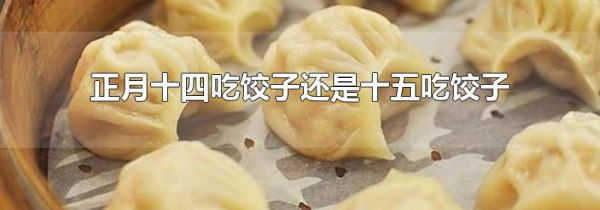 正月十四吃饺子还是十五吃饺子
