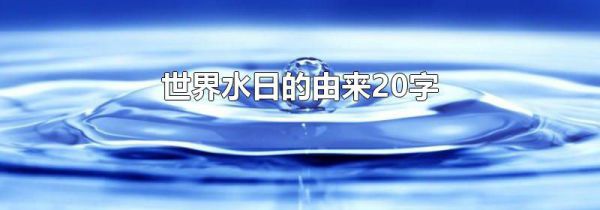 世界水日的由来20字