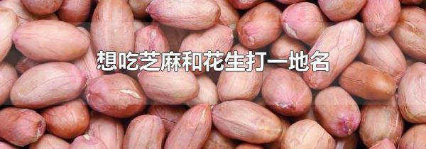 想吃芝麻和花生打一地名