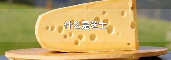 什么是芝士
