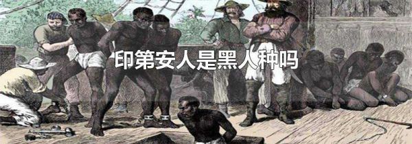印第安人是黑人种吗