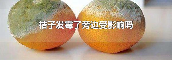 桔子发霉了旁边受影响吗
