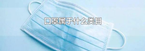 口罩属于什么类目