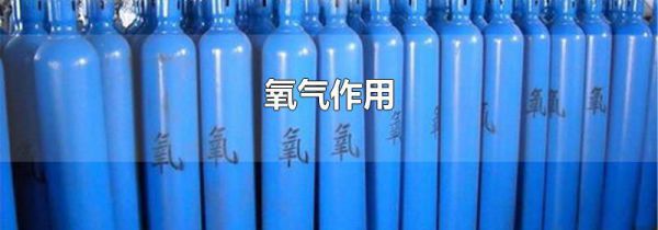 氧气作用