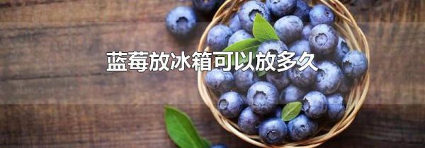 蓝莓放冰箱可以放多久