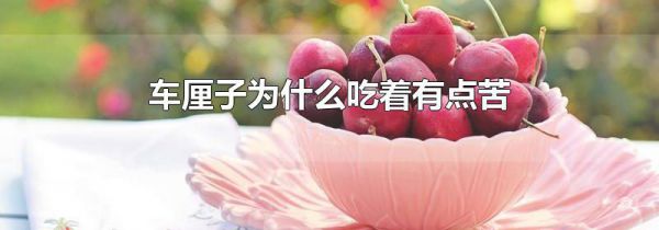 车厘子为什么吃着有点苦