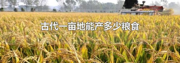 古代一亩地能产多少粮食