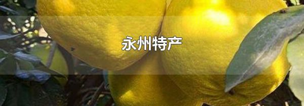 永州特产