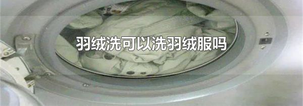 羽绒洗可以洗羽绒服吗