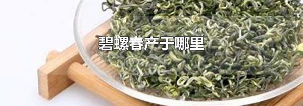 碧螺春产于哪里
